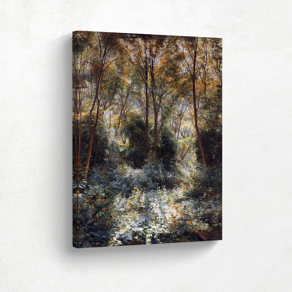 Sunshine in dense forest