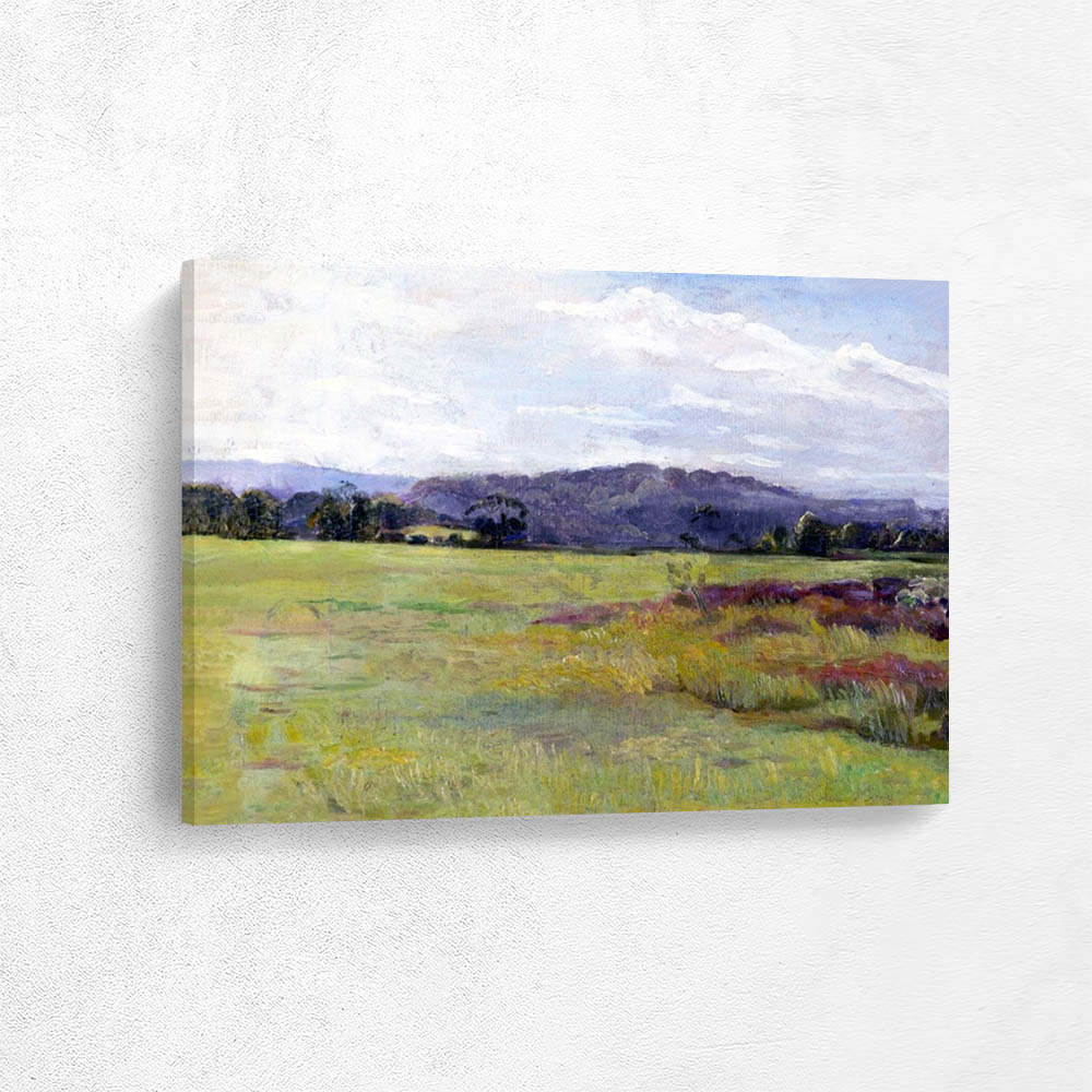 Sommerlandschaft auf Seeland