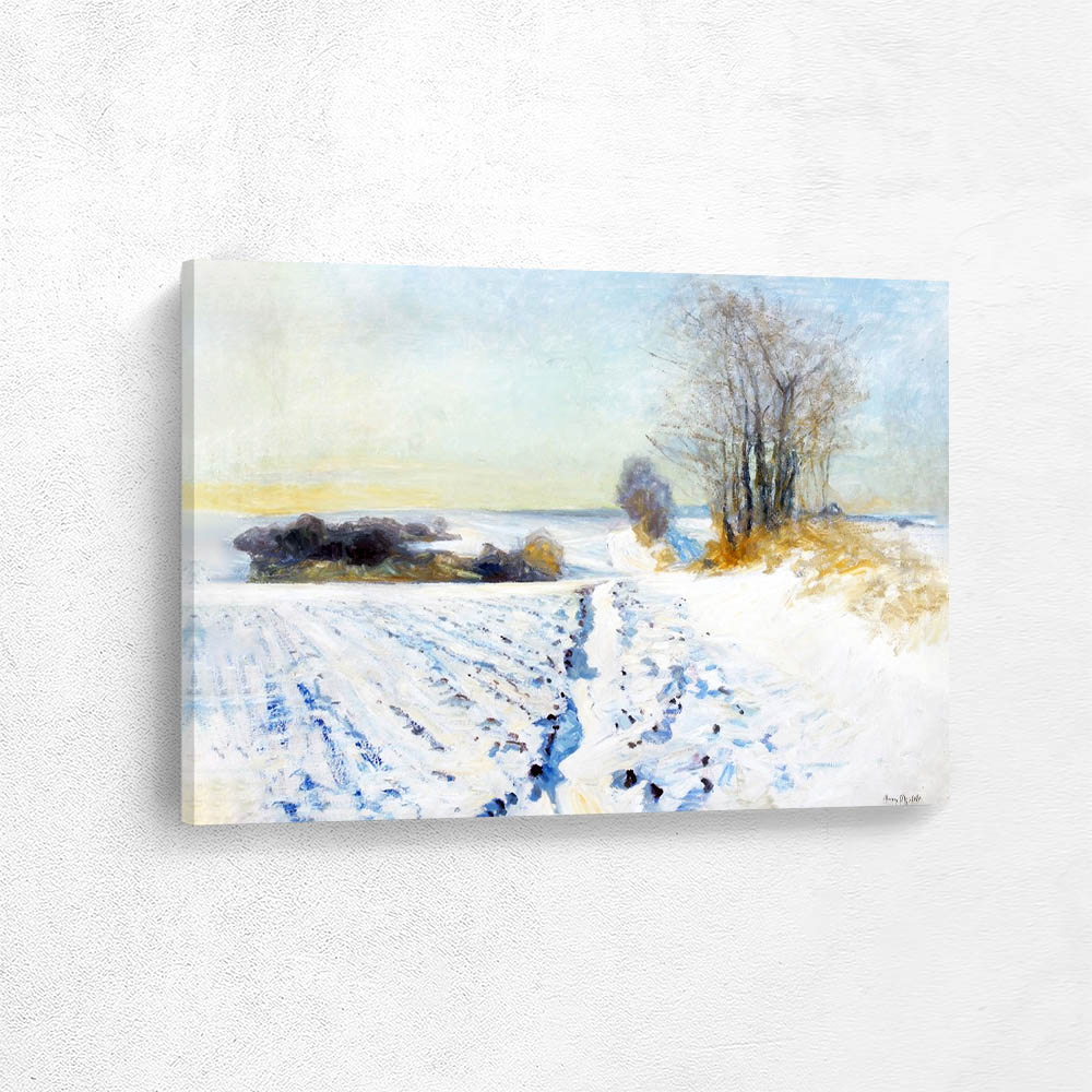 Winter scenery with snow covered fields in sunlight