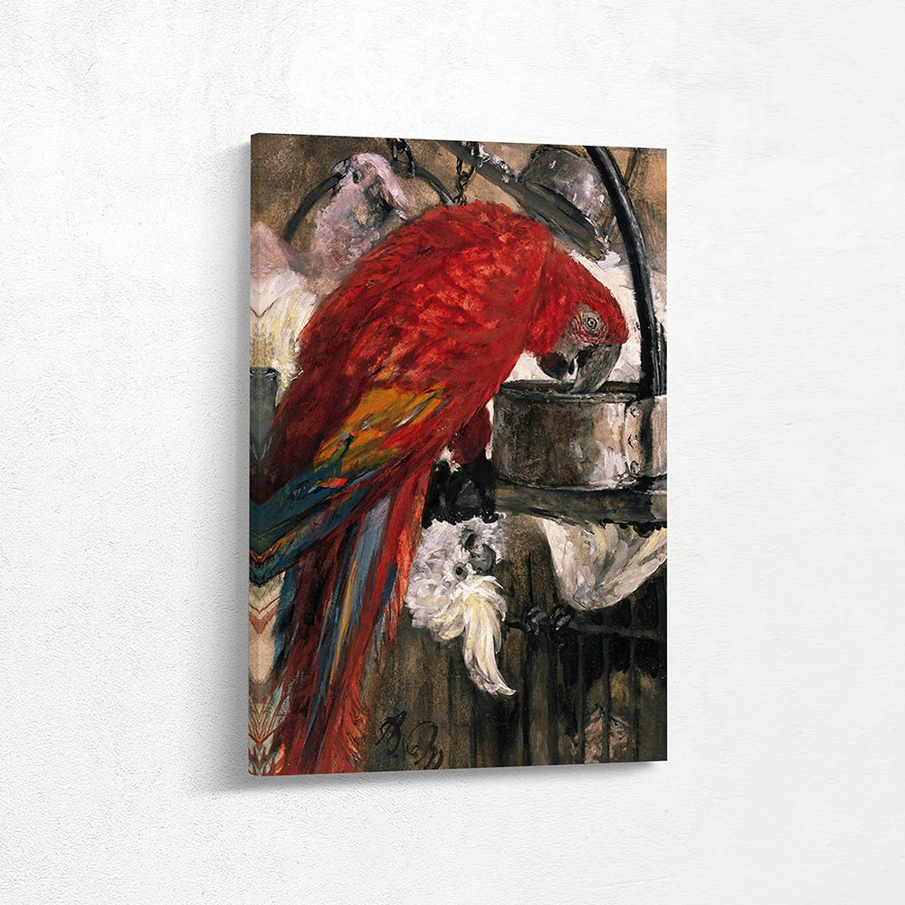 Ara and Kakadus,  Macaw and Cockatoos