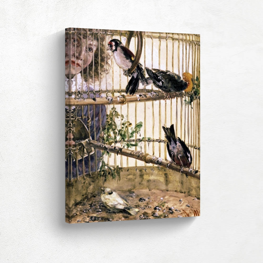 Pinzes and canary in the cage