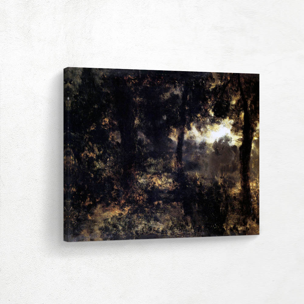 Night in the Forest