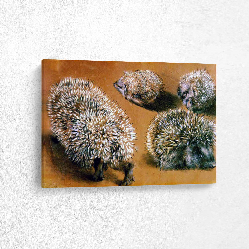 Four Studies of a Hedgehog