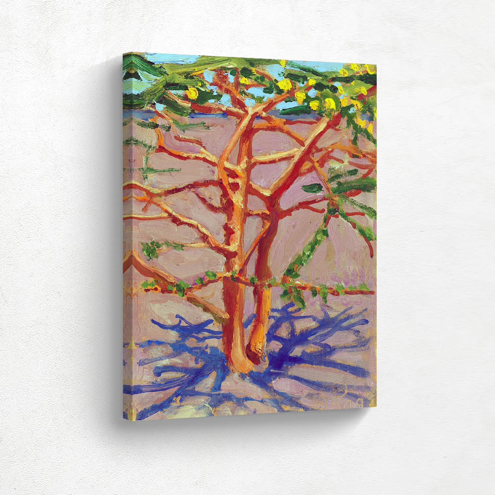 Acacia on the Savannah 