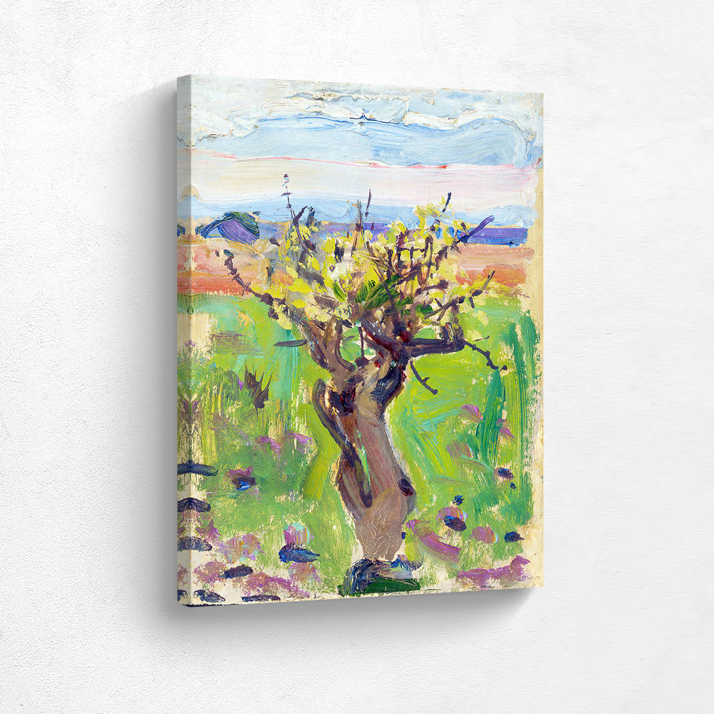 Dwarf Tree in the Desert