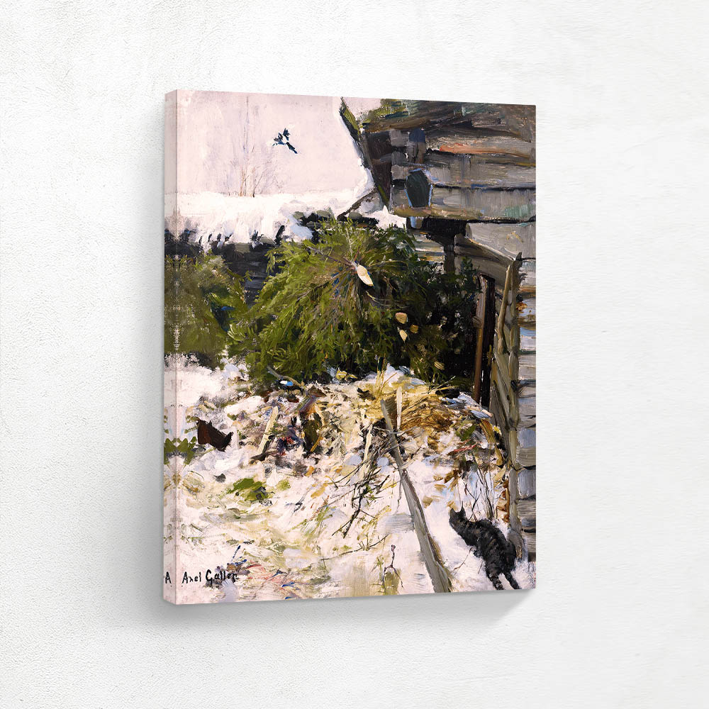 Spruces in a Farmyard