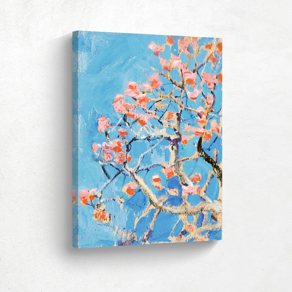 Coral Tree in Blossom