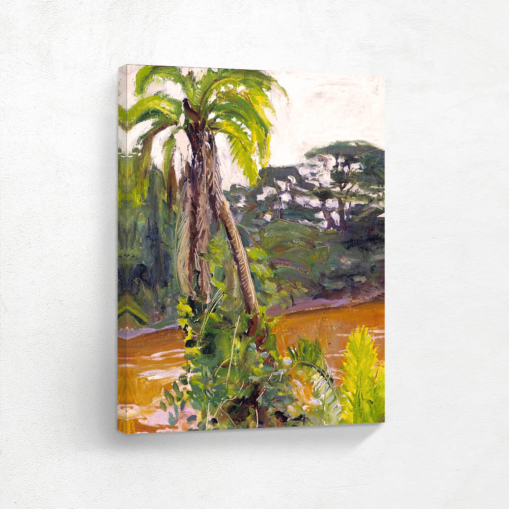 Tropical Palm Tree by the Tana River