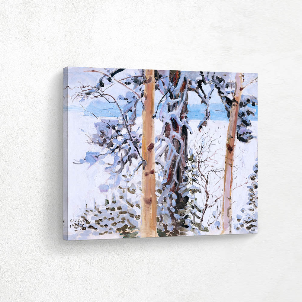 Winter Landscape from Ruovesi