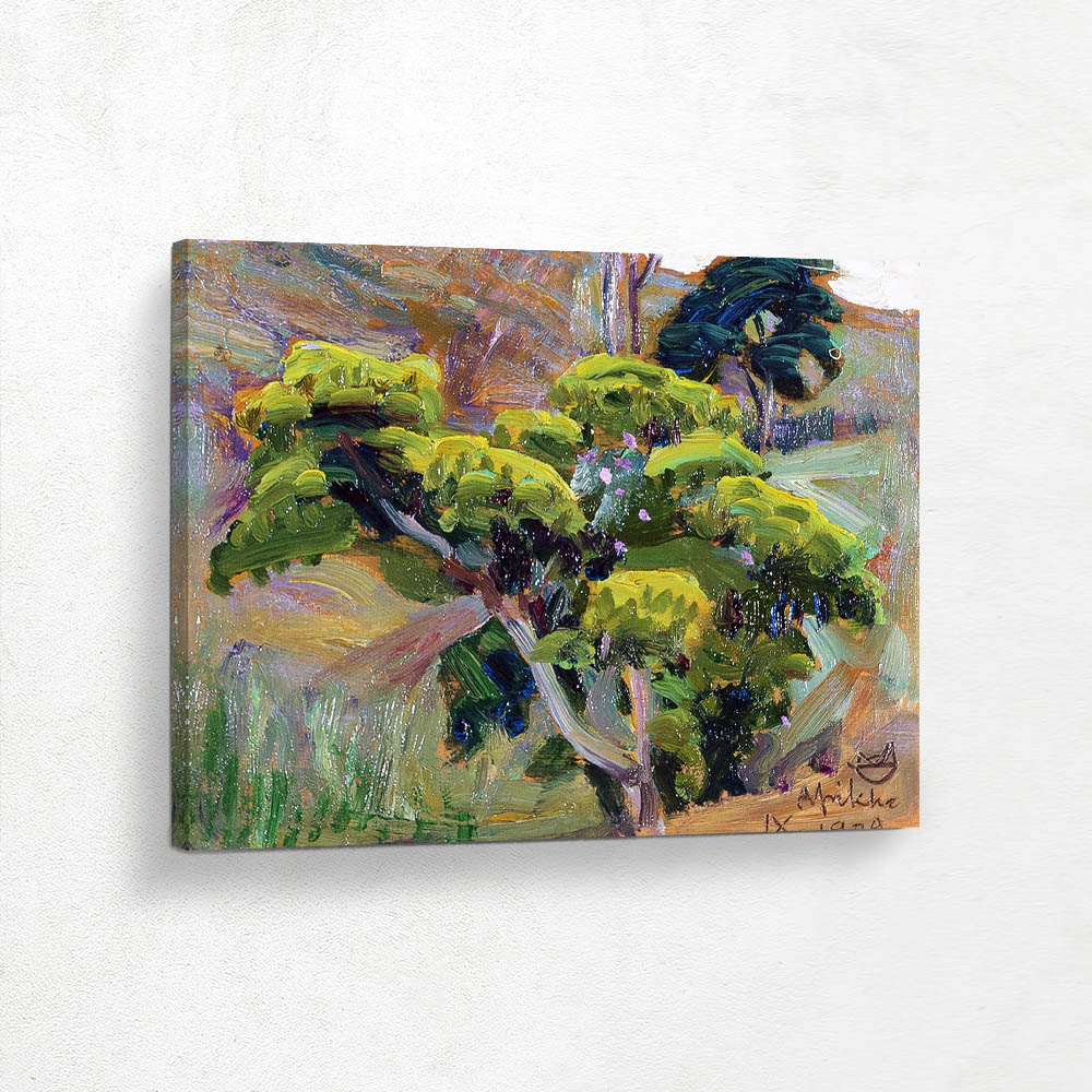 Landscape from Afrika