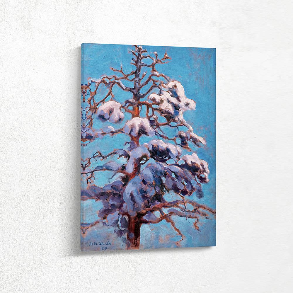 Snowy Pine Tree