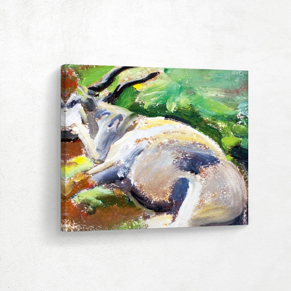 Eland Bull