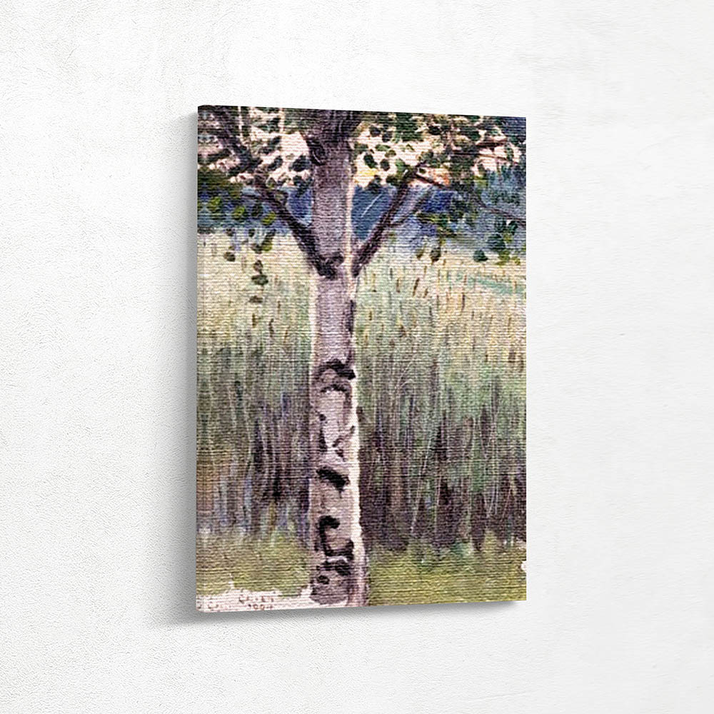 Birch in Growing Fields