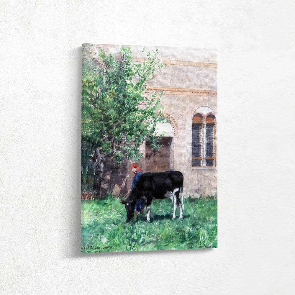 A Cow