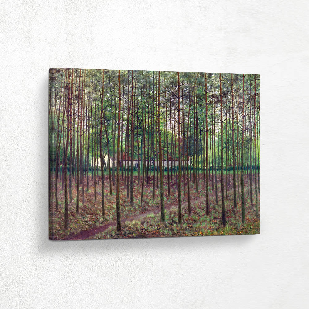 Farm behind spruce forest