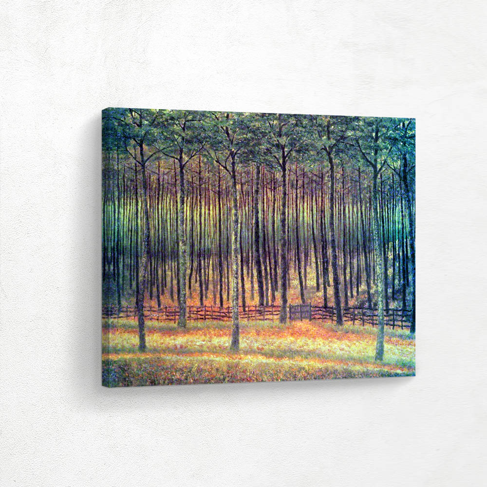 Enclosed Spruce Forest