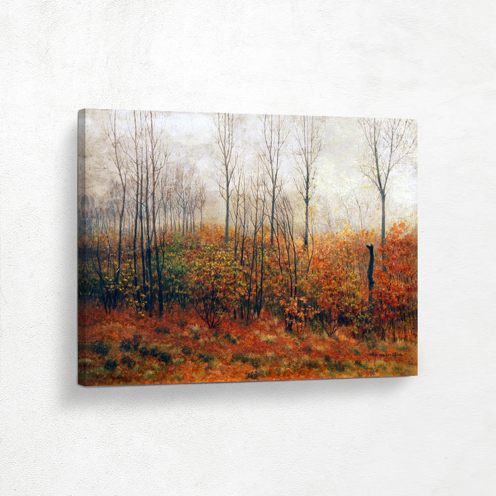 Autumn Forest Edge