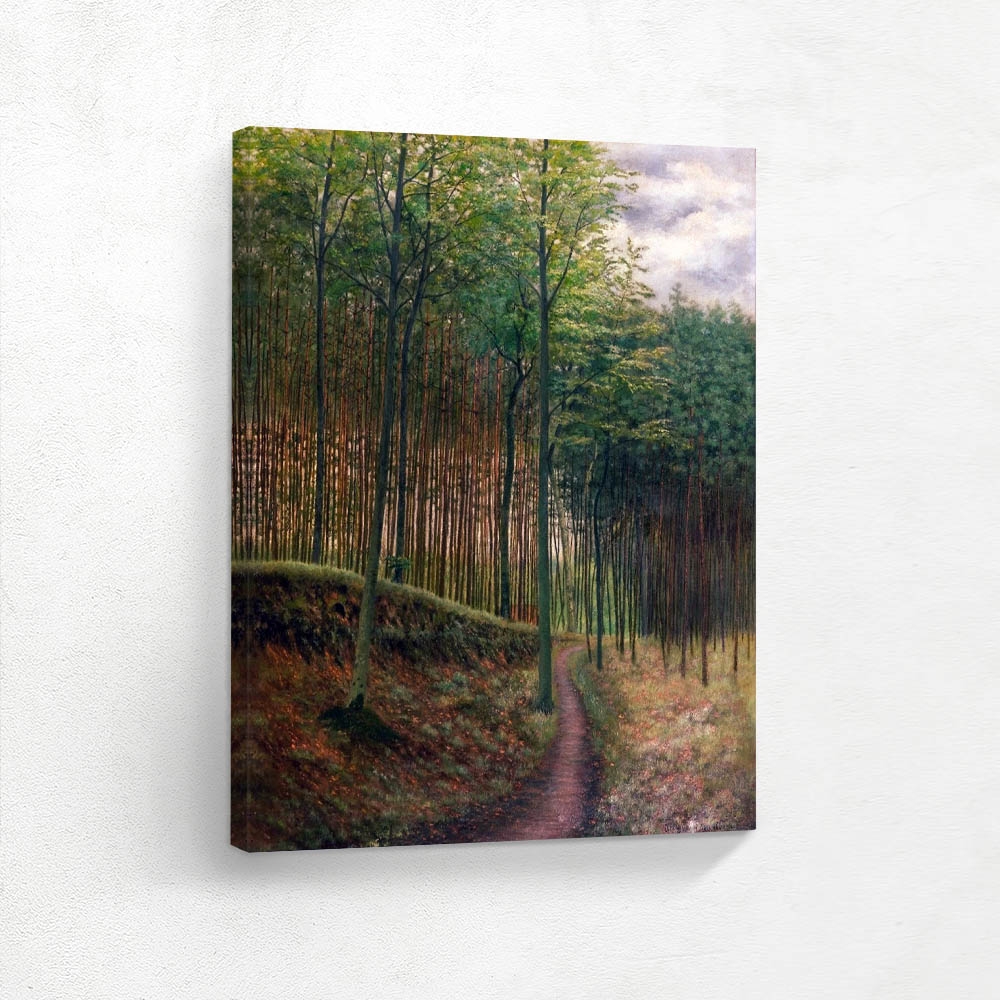 Under Beech and Spruce