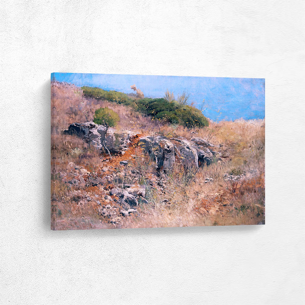 Sea Shore Landscape with Rocks