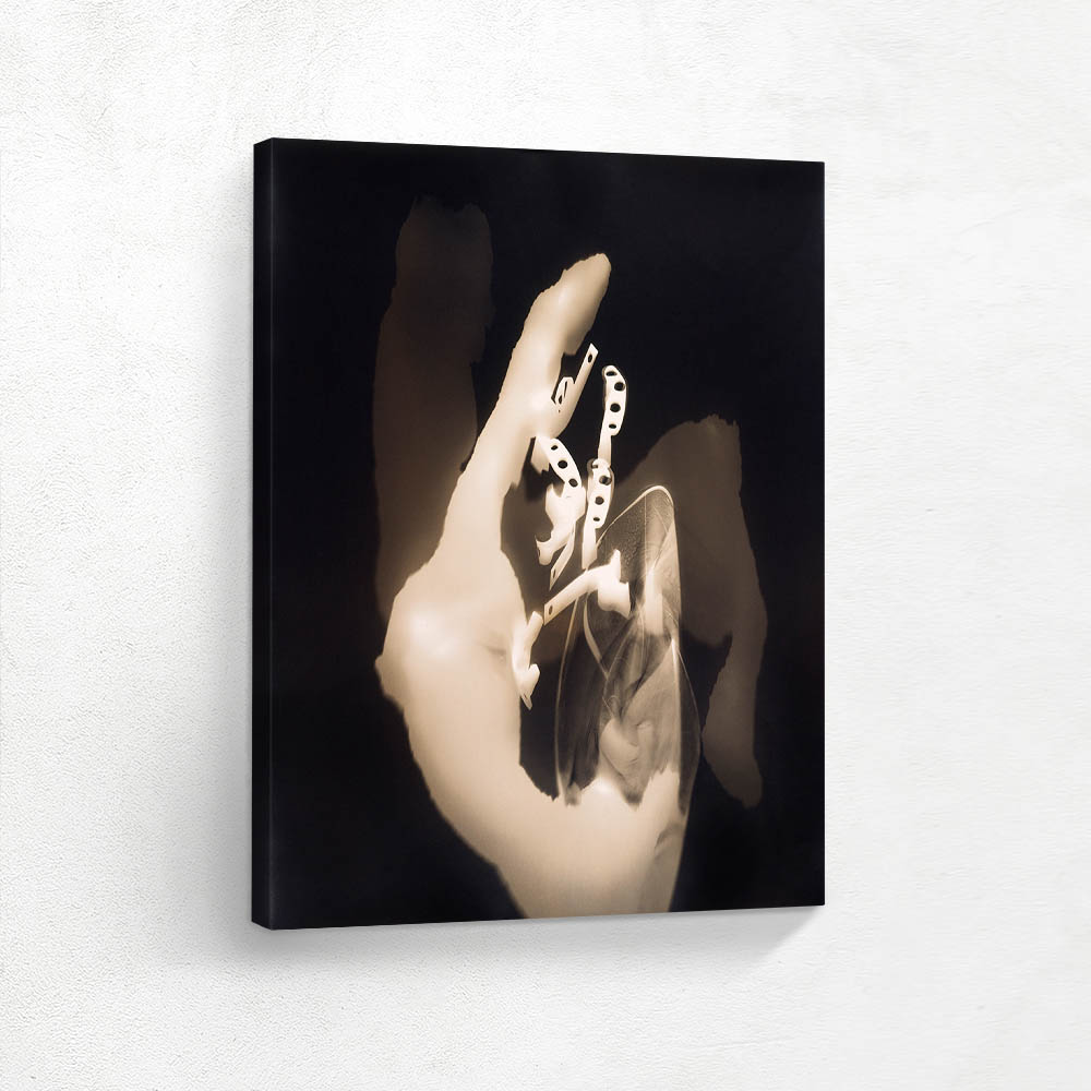 Photogram (Light Modulator)