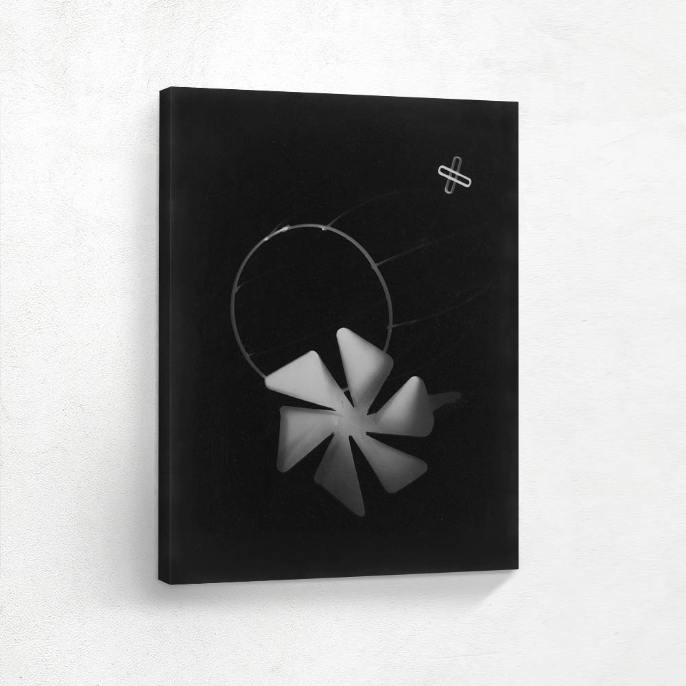 Photogram with Pinwheel and other shapes