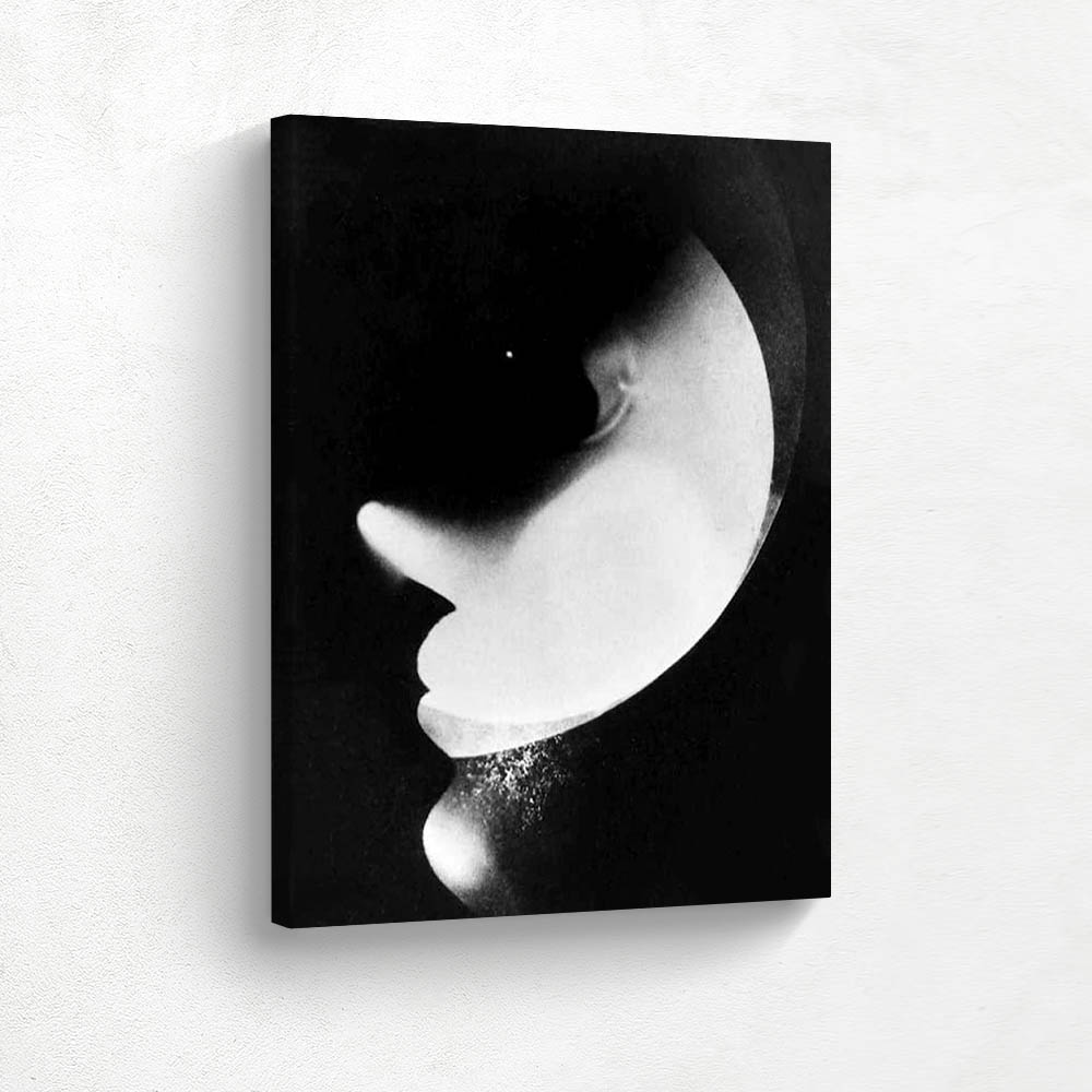 Photograms and Abstraction