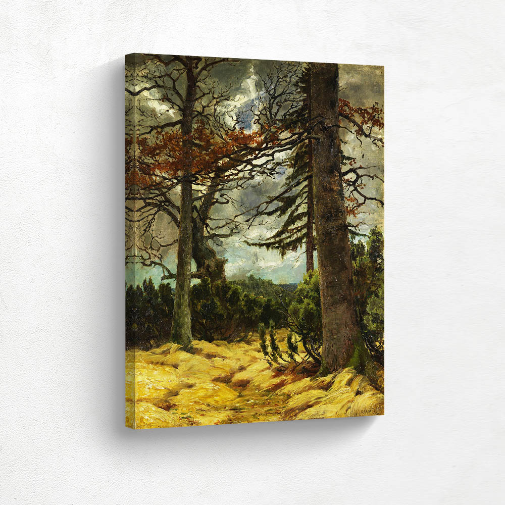 Oak Trunks in Early Spring