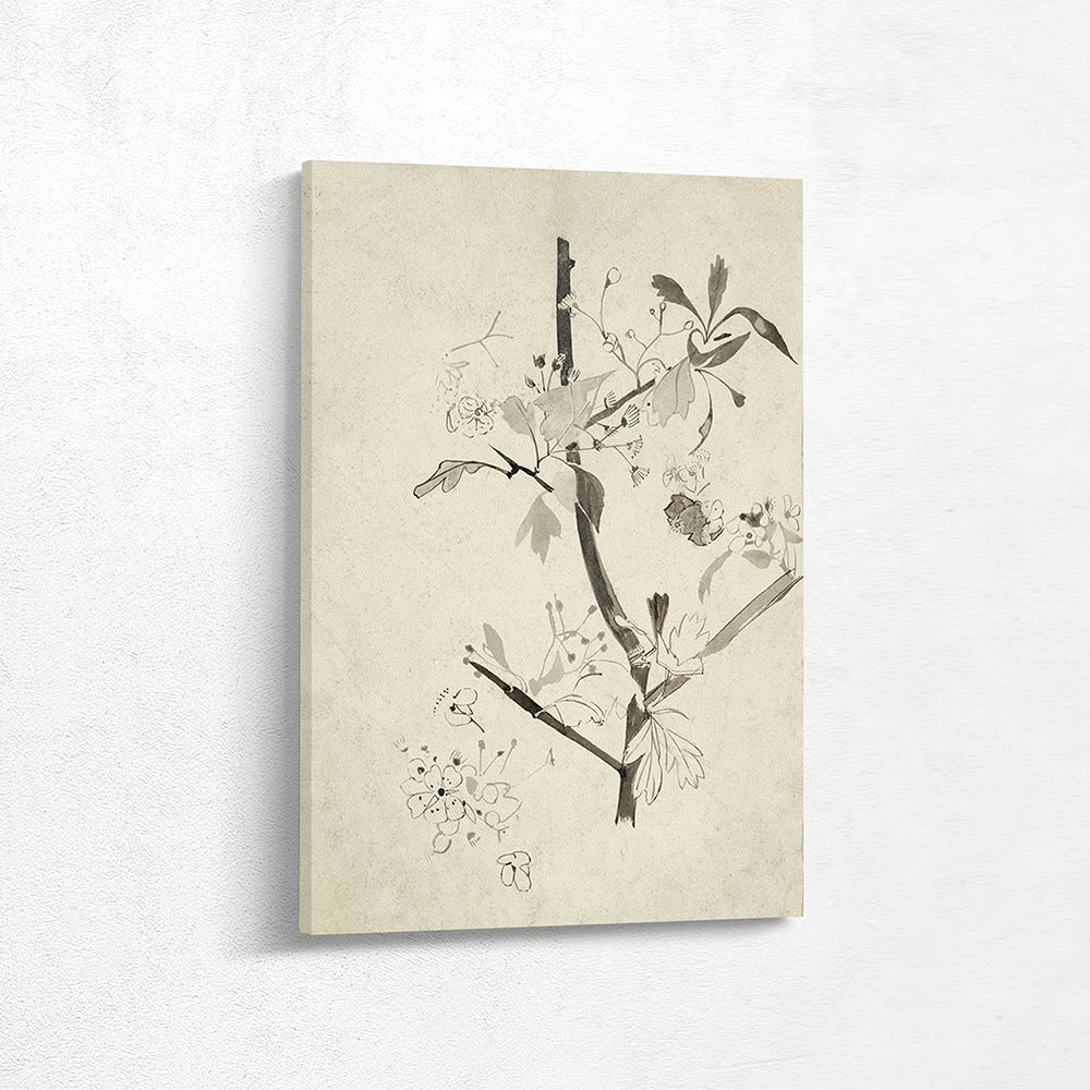 Branch with Blossom