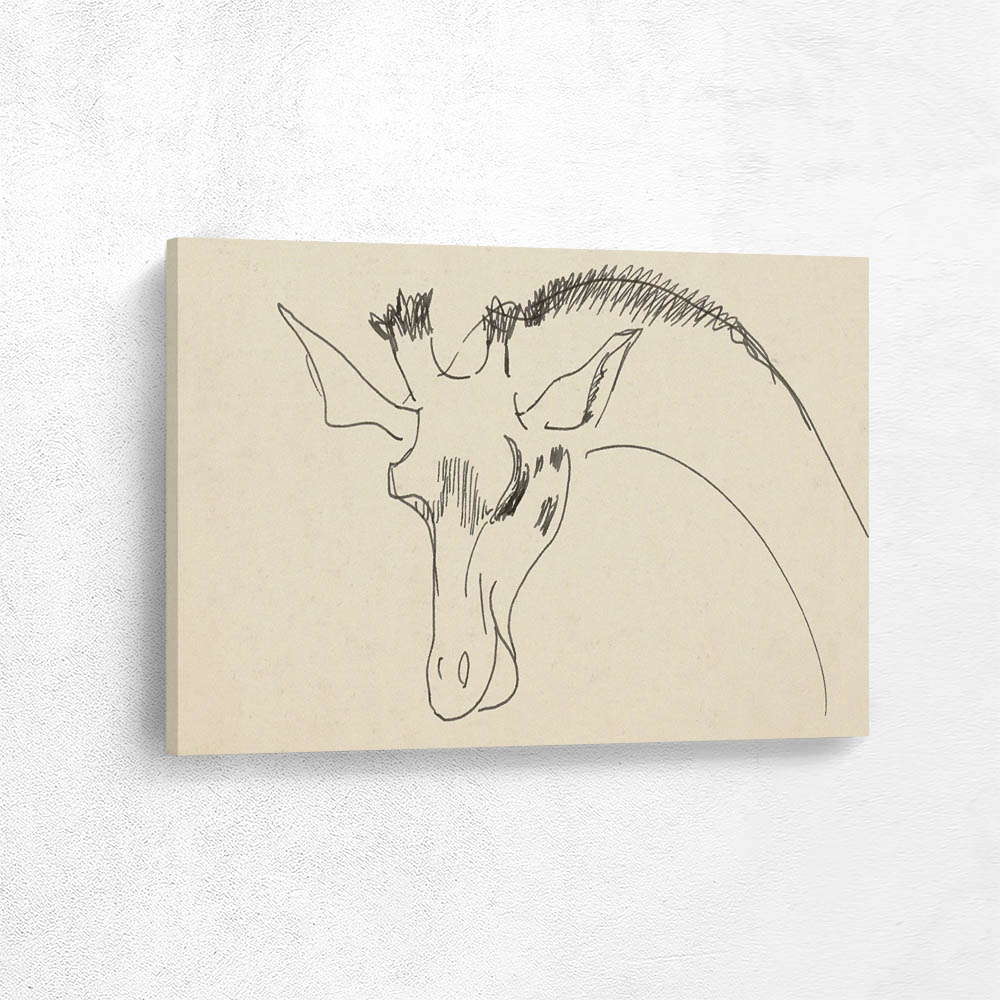 Head and a Neck of a Giraffe