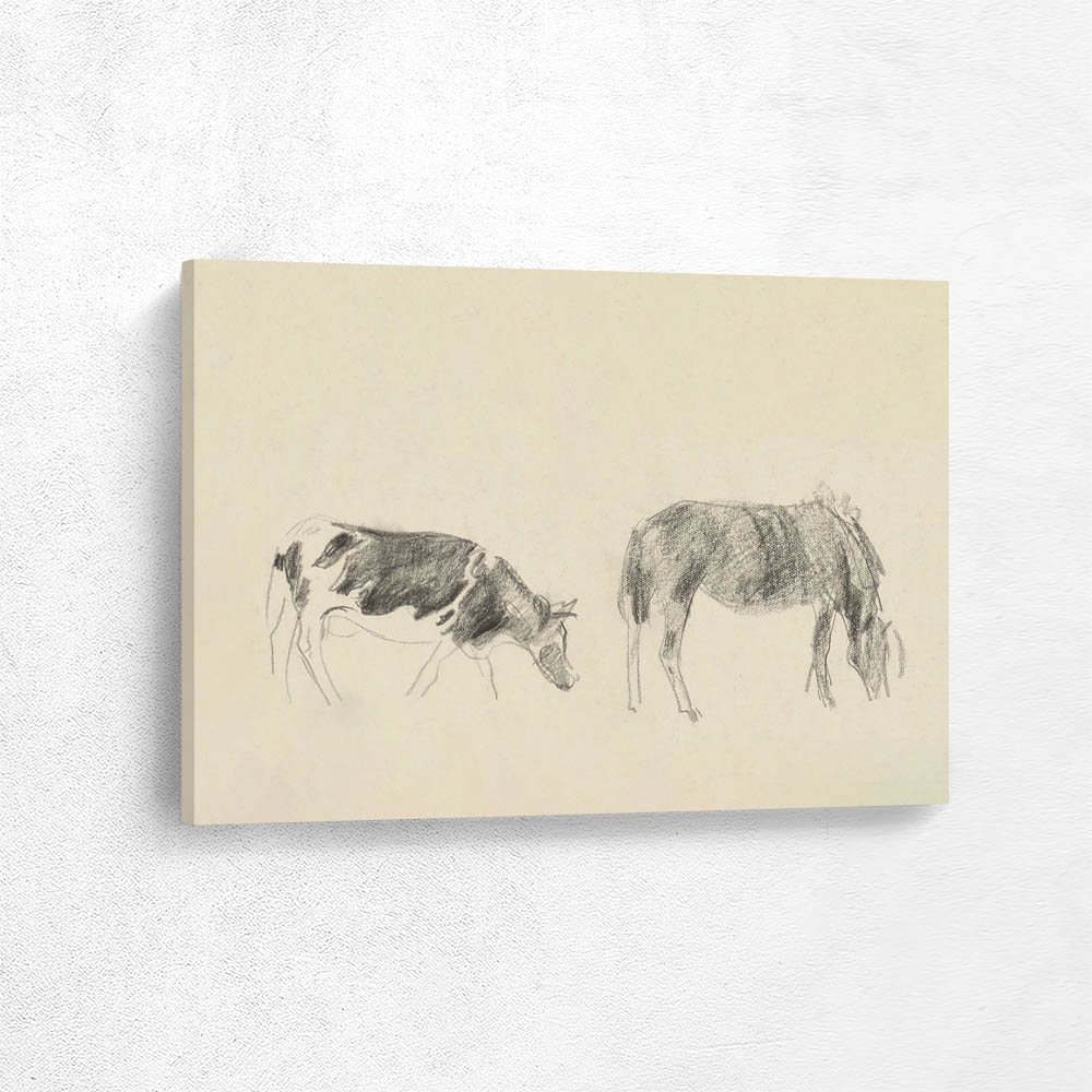 Horse and a Cow
