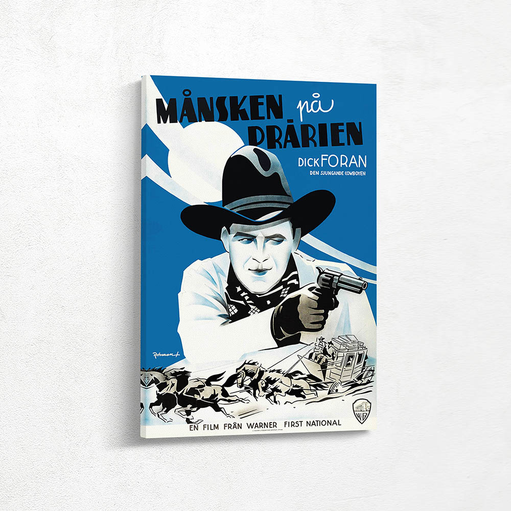 Moonlight on the Prairie