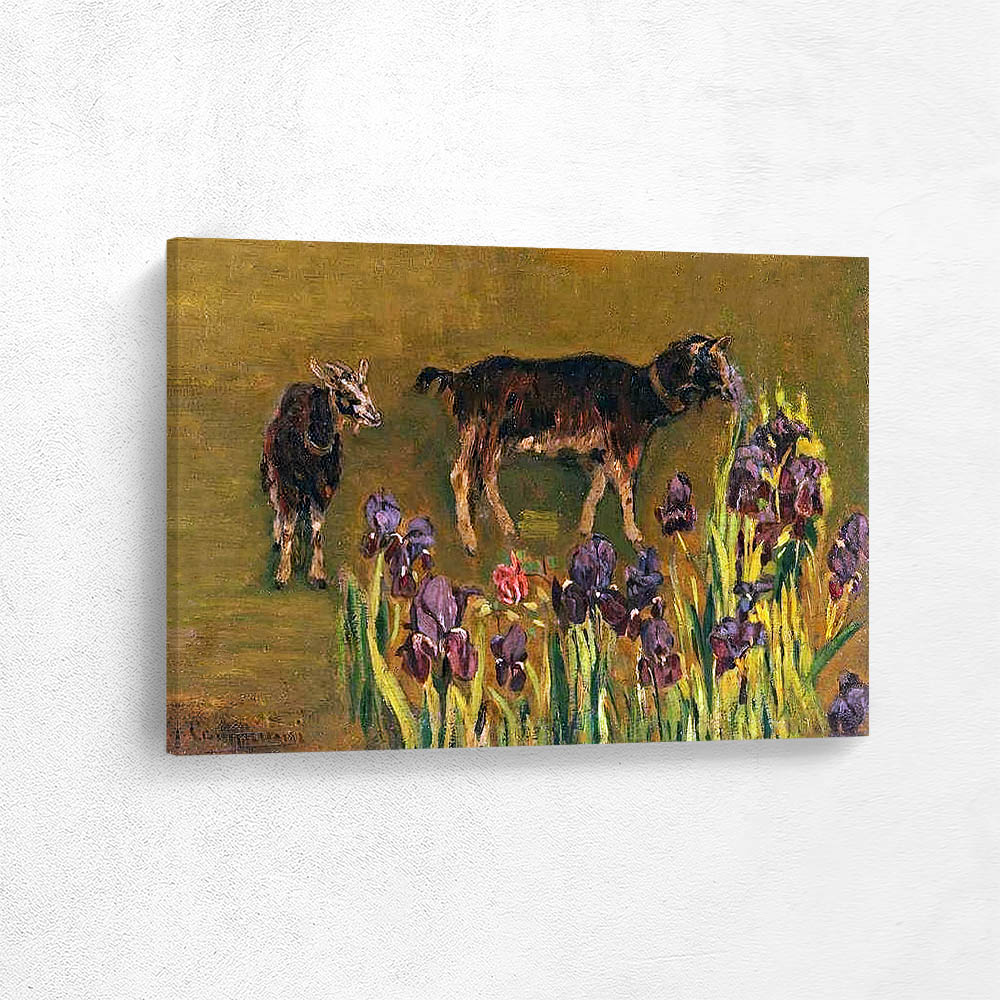  Goats and Irises