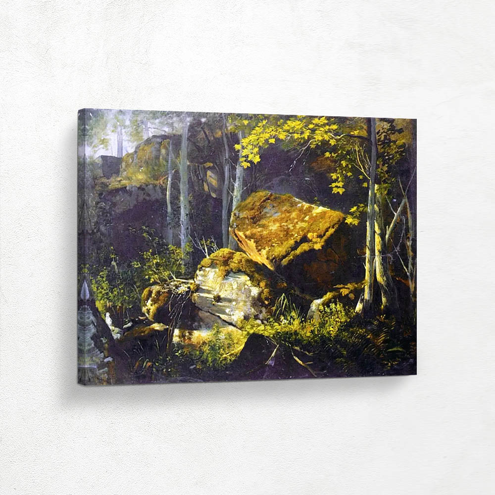 Stones in the forest