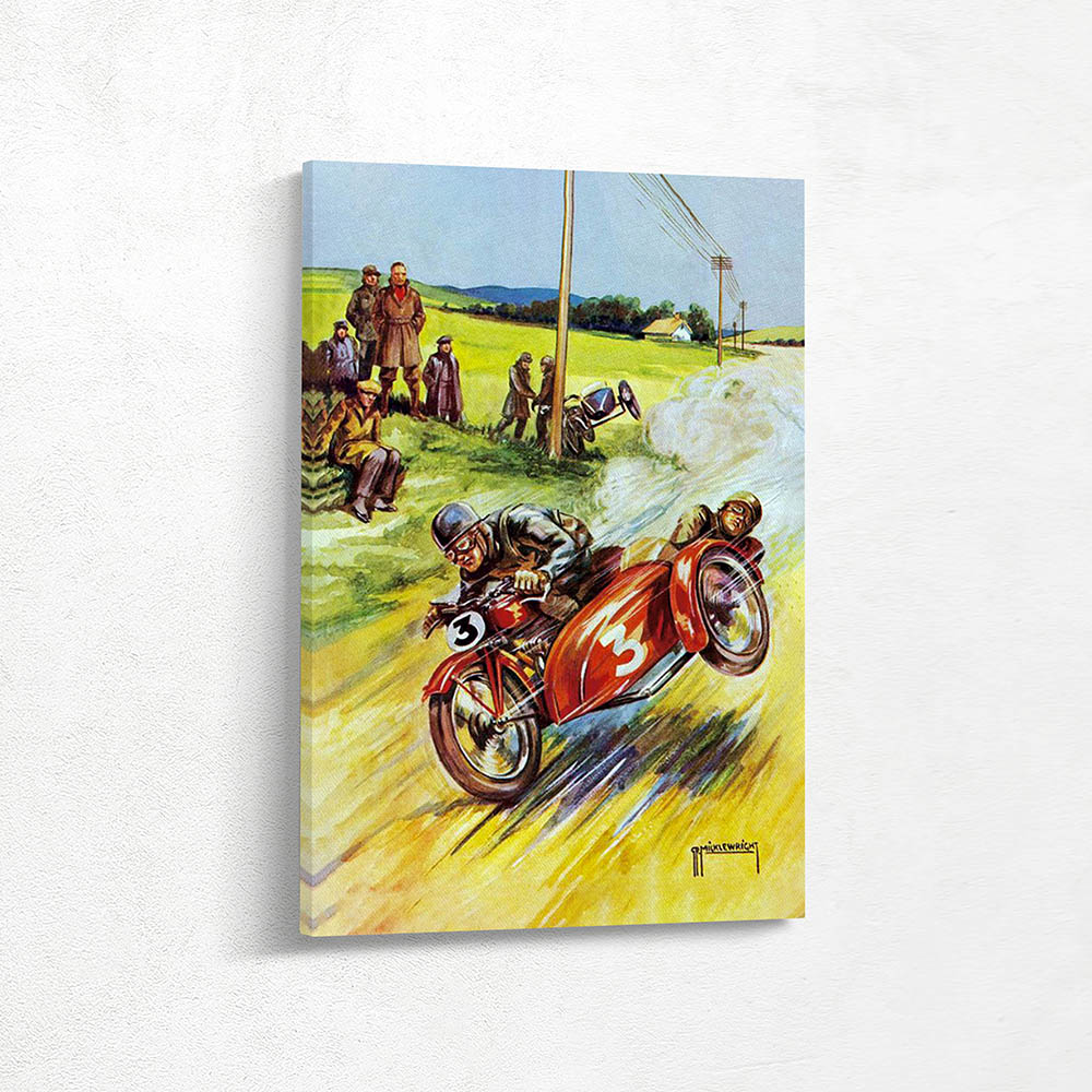 Motorcycle Sidecar Racing
