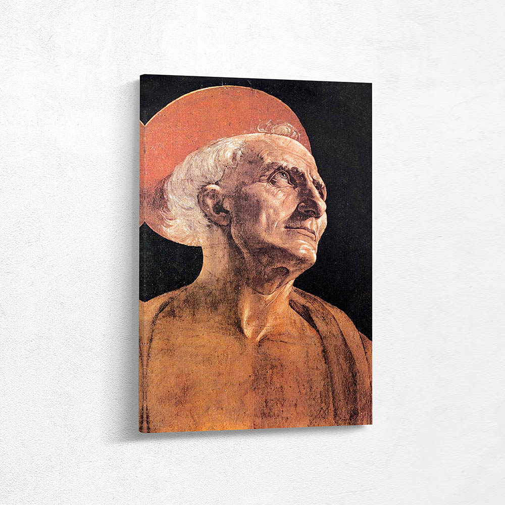 The Face of Saint Jerome