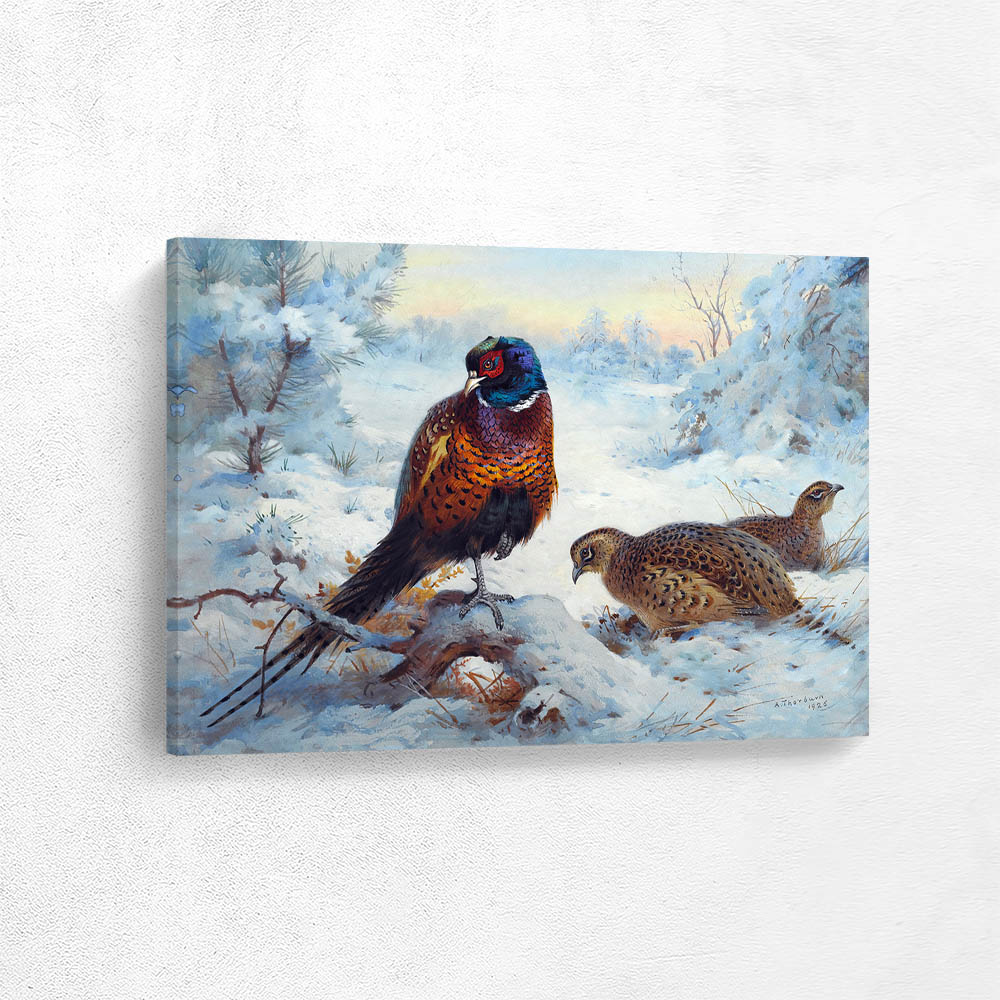 Cock and Hen Pheasant in Winter