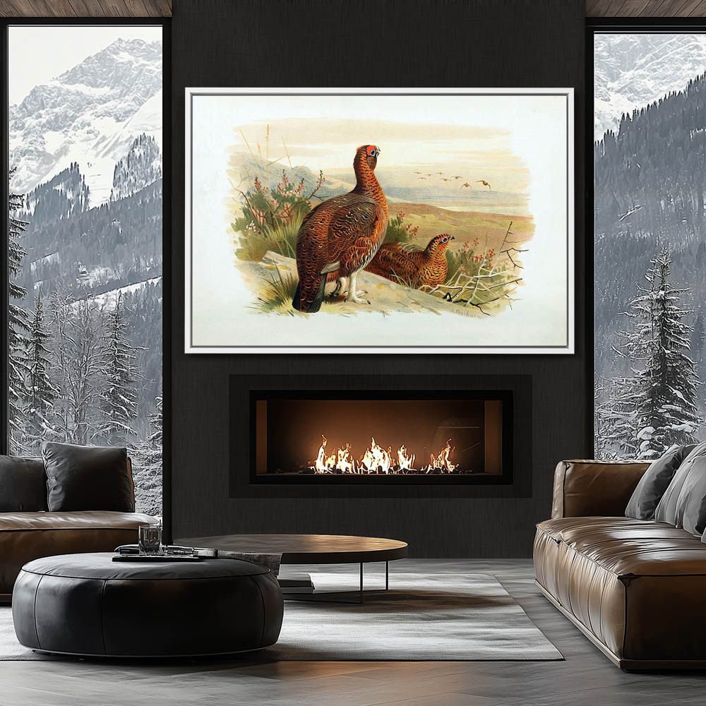 Red Grouse - Image 4
