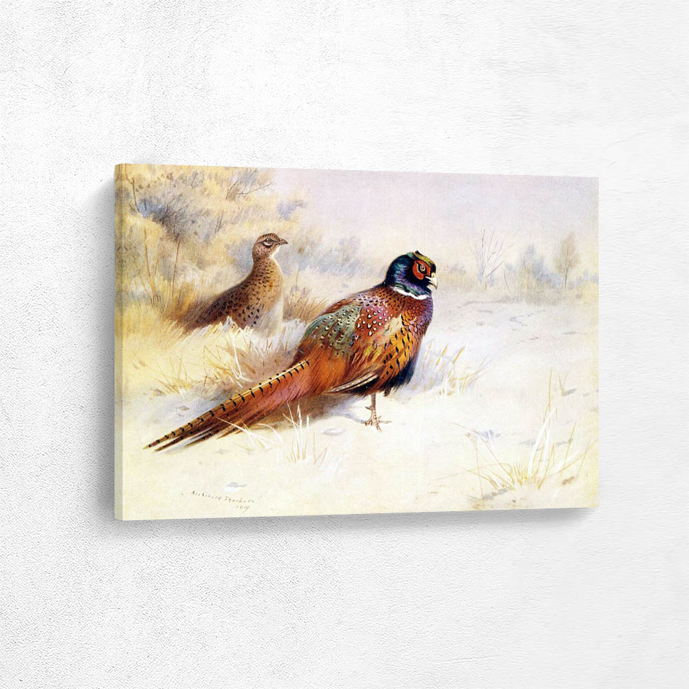 Pheasant