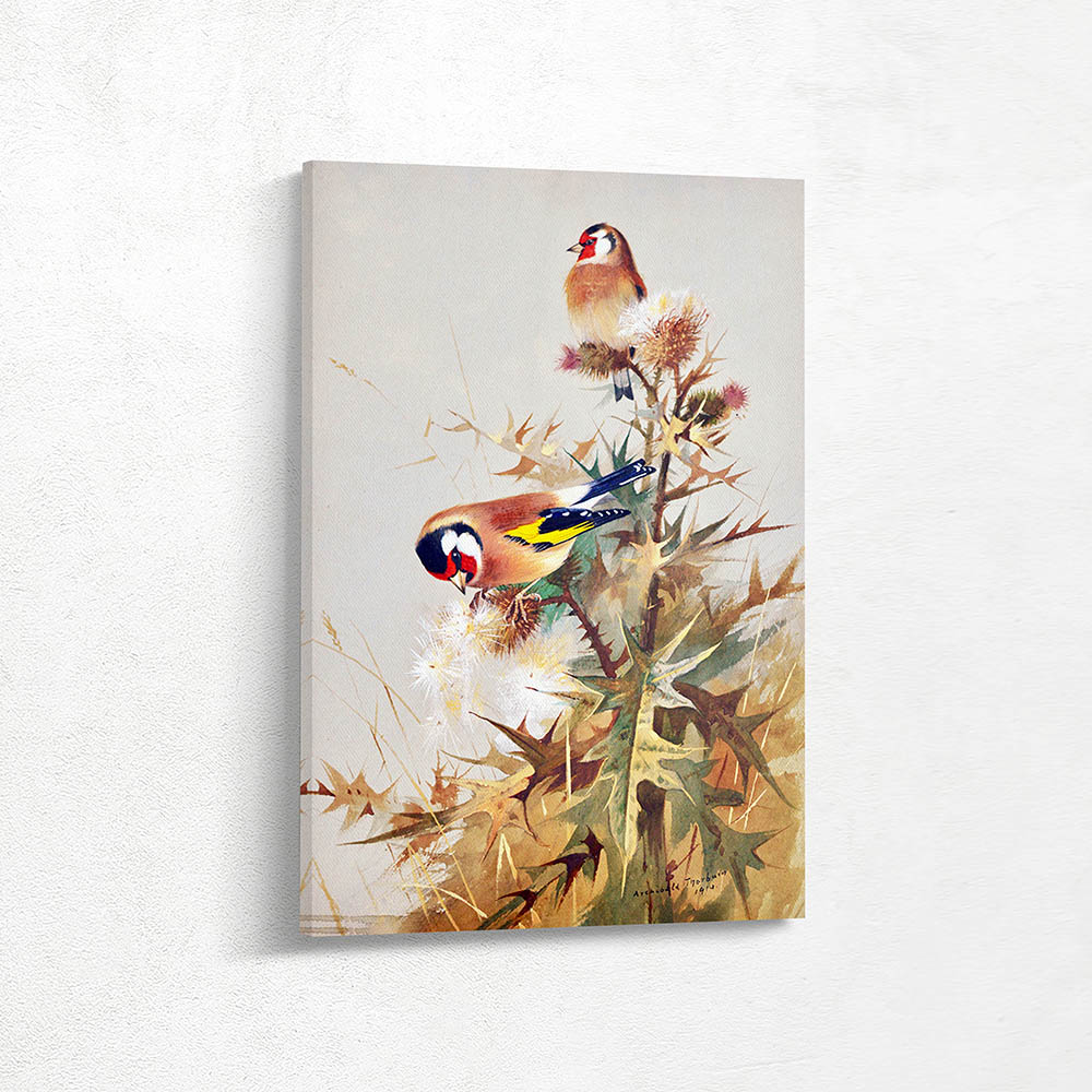 Goldfinches on Thistle