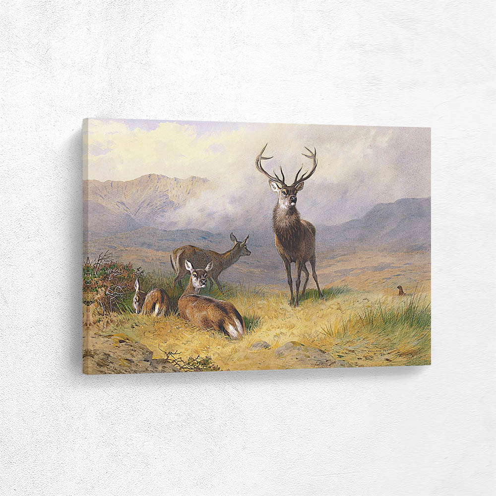 Monarch of the Glen