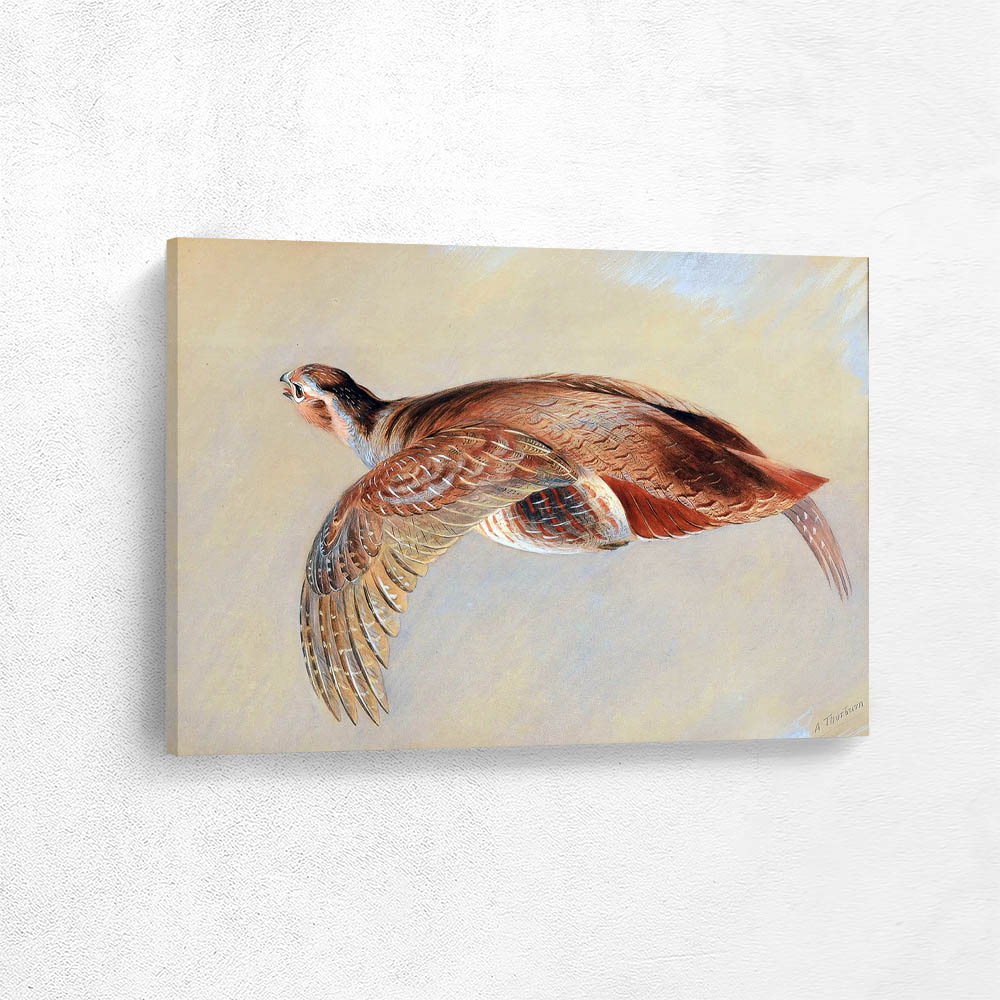 A Partridge in Flight