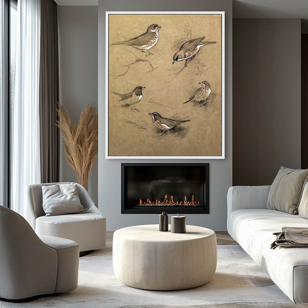 Study of Thrushes - Image 4
