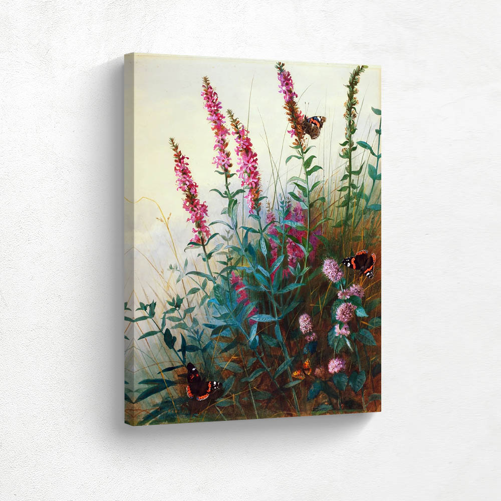 Purple Loosestrife and Watermint