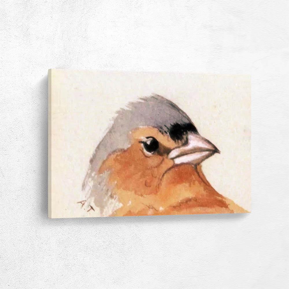 Head of a Bird in Profile