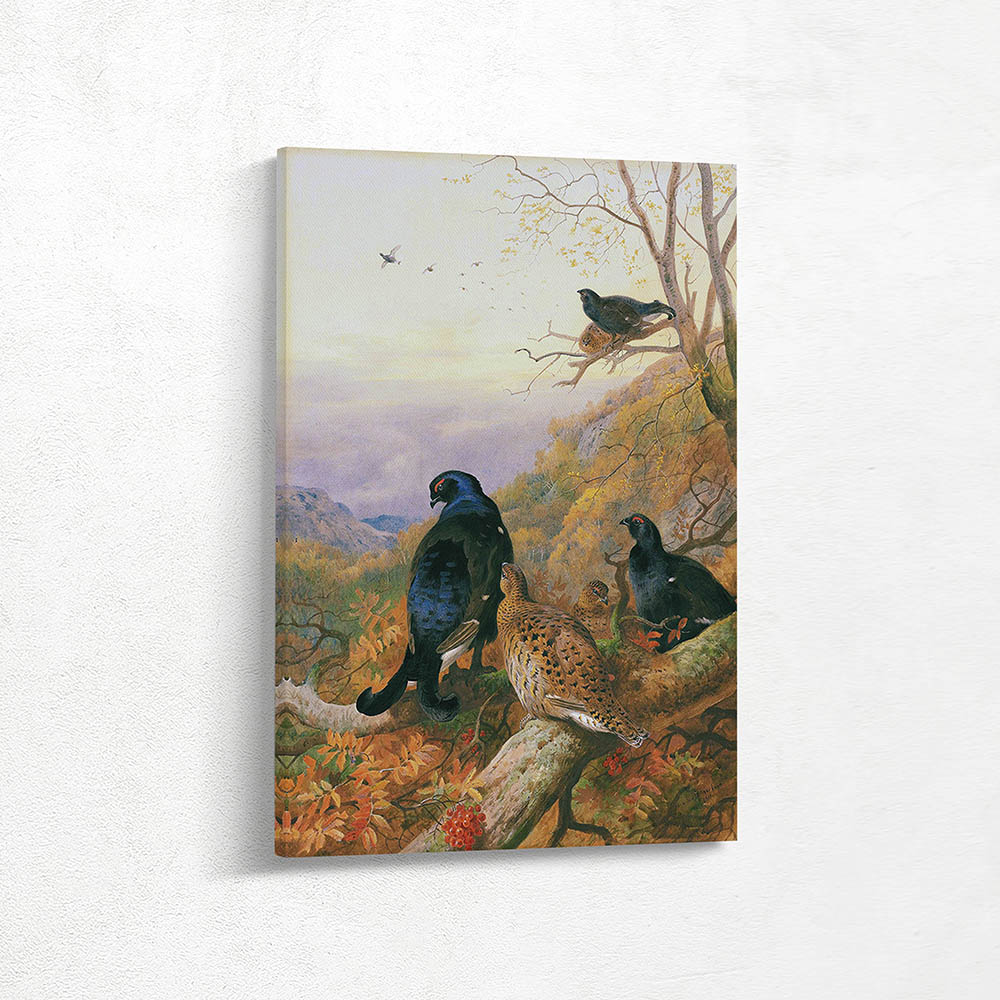 Blackgame in the Glen