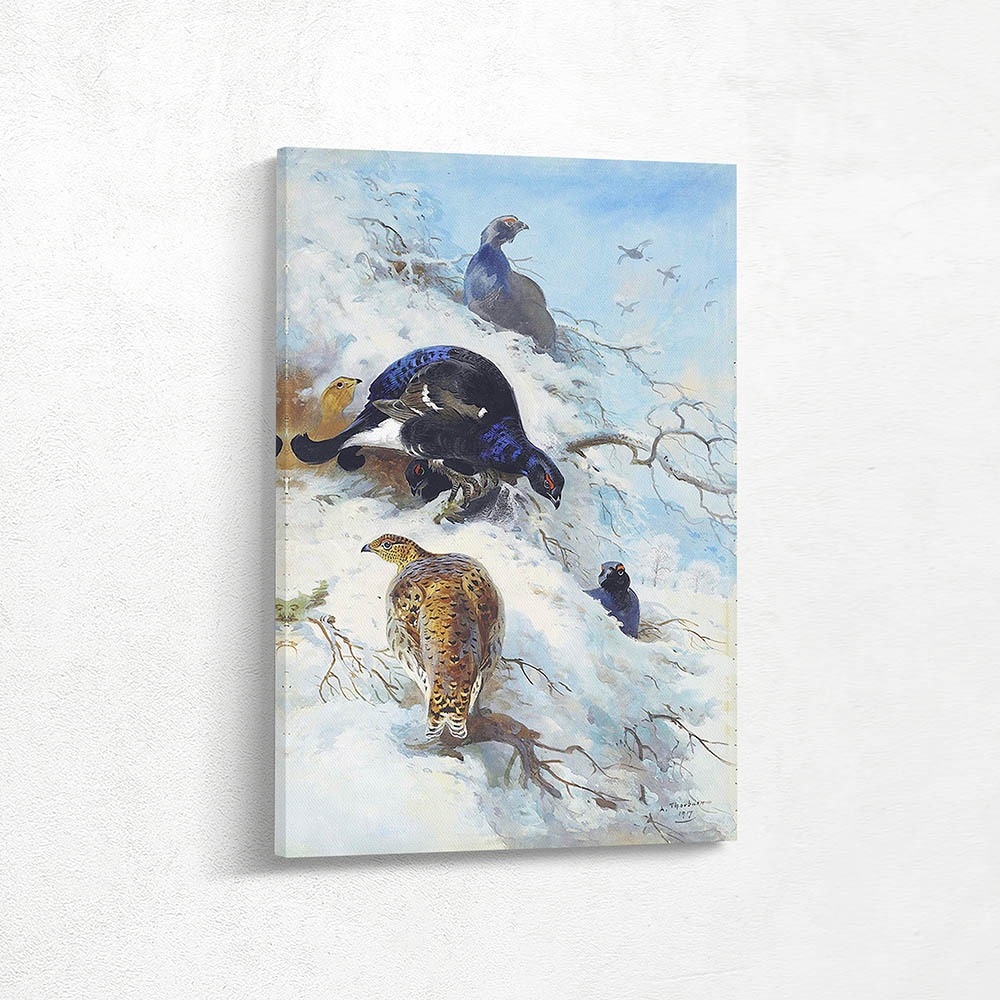 Blackgame in the Snow