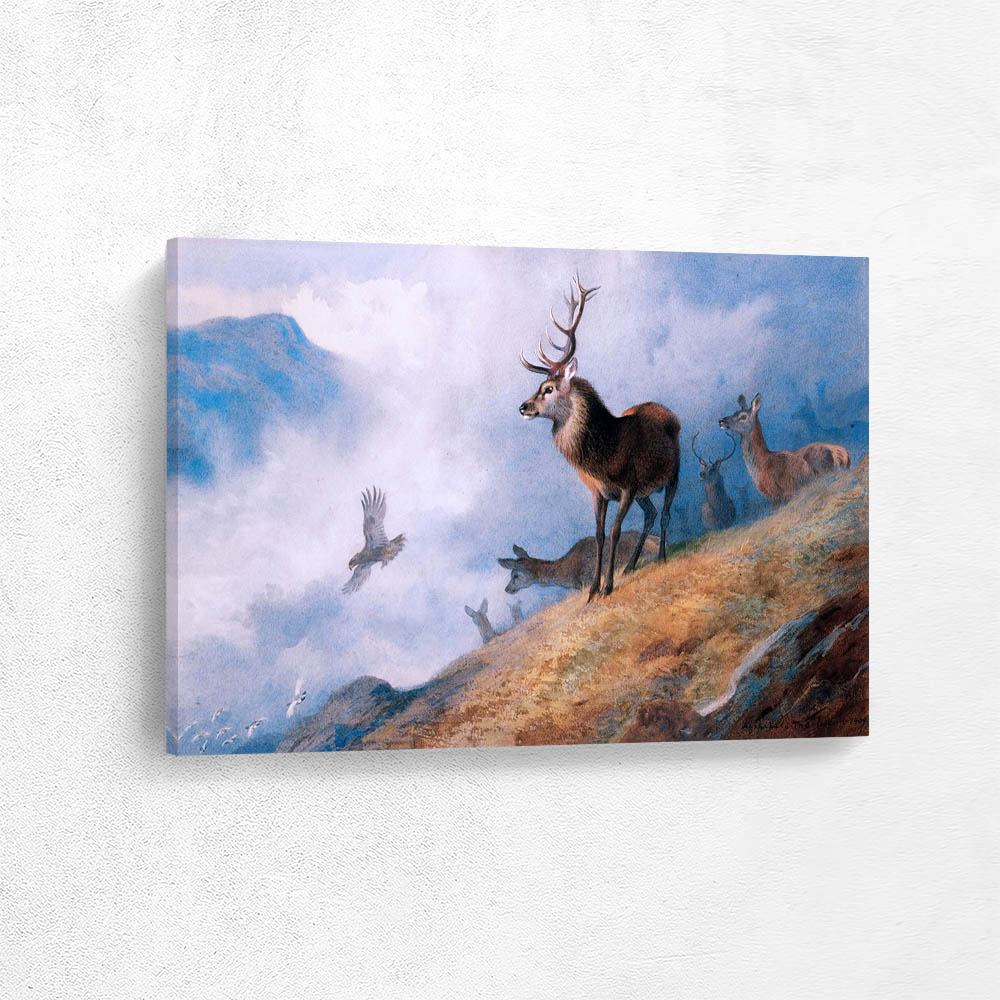 Red Deer Watching a Golden Eagle Hunt Ptarmigan