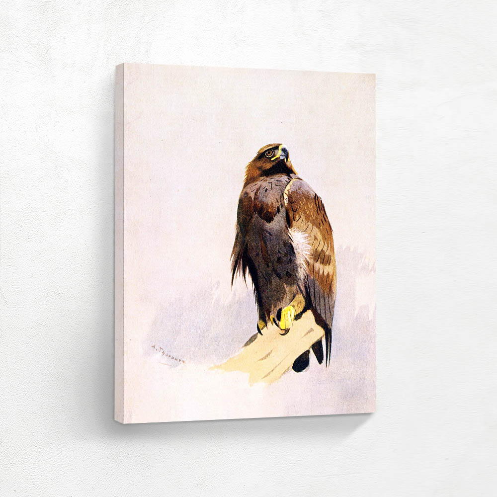 Golden Eagle Studies