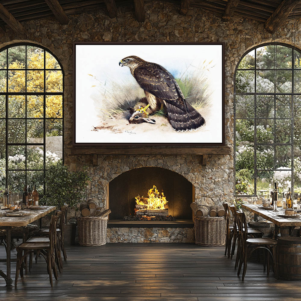 Goshawk - Image 3