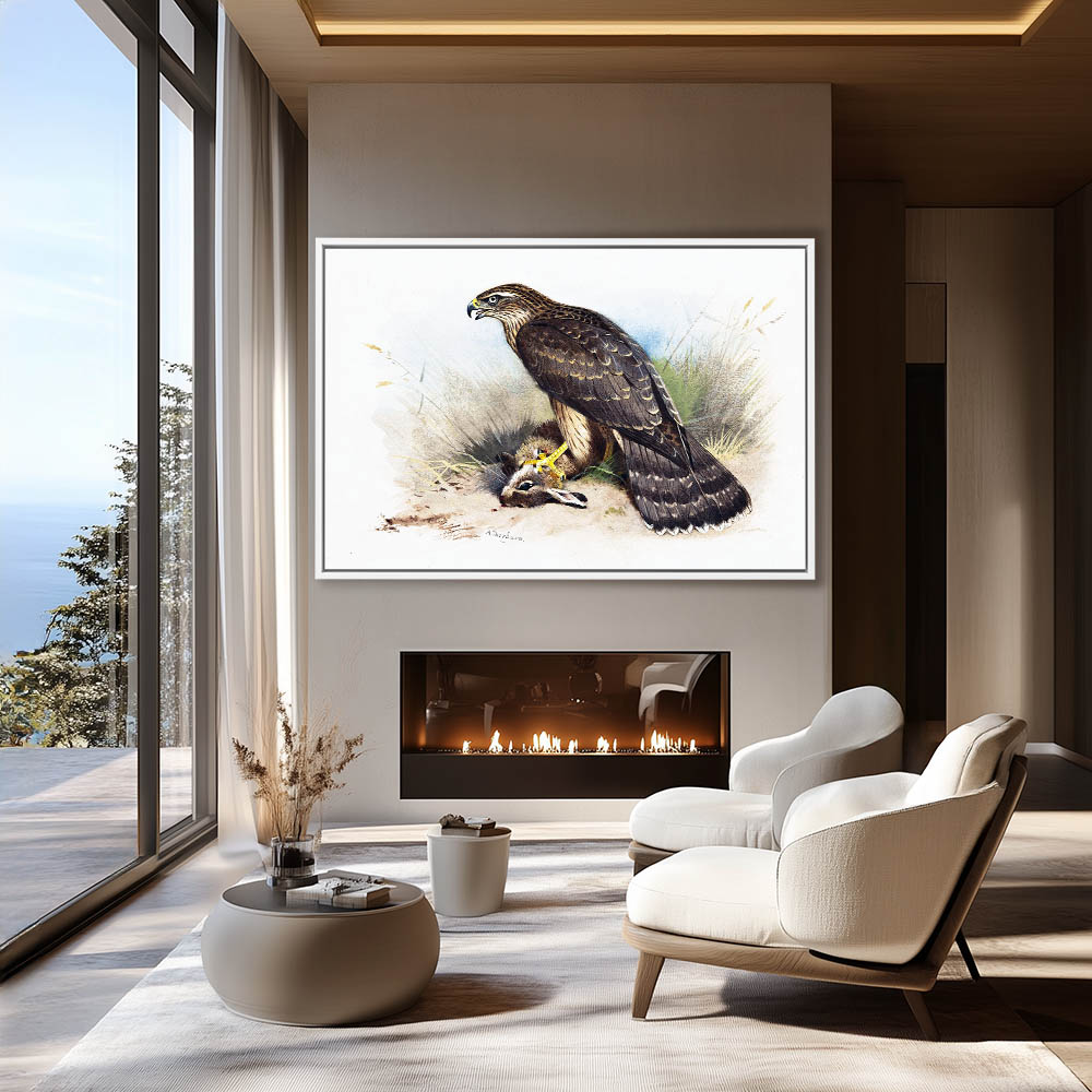 Goshawk - Image 4